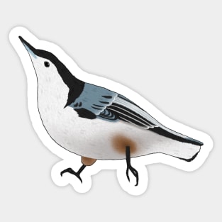 White-Breasted Nuthatch Sticker